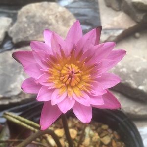 Meet your Posher, Zain